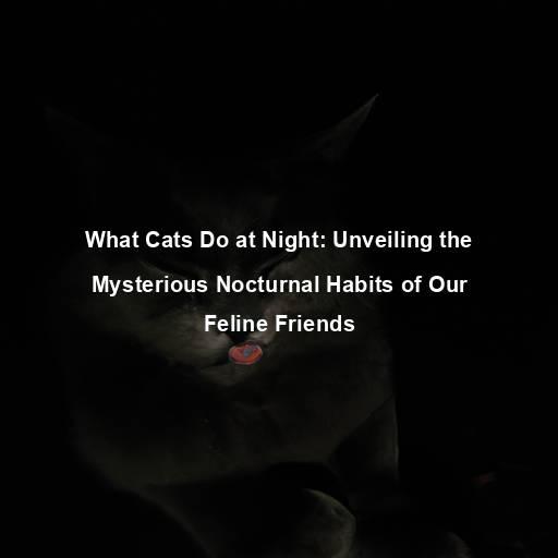 What Cats Do at Night: Unveiling the Mysterious Nocturnal Habits of Our Feline Friends