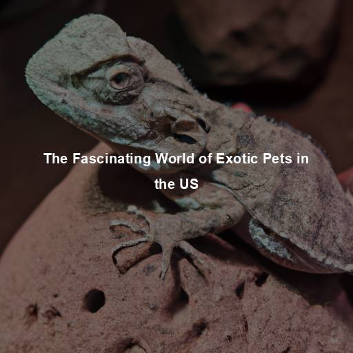 The Fascinating World of Exotic Pets in the US