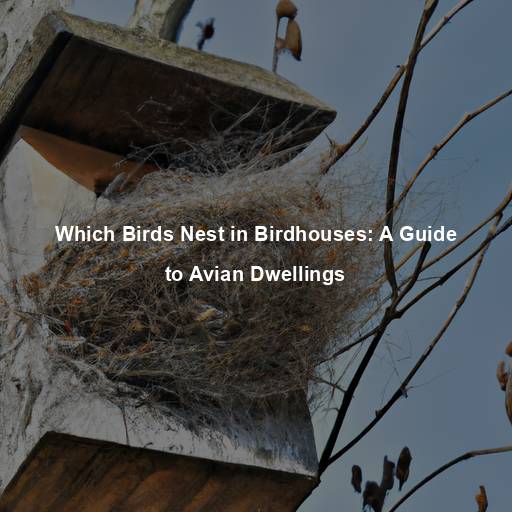 Which Birds Nest in Birdhouses: A Guide to Avian Dwellings