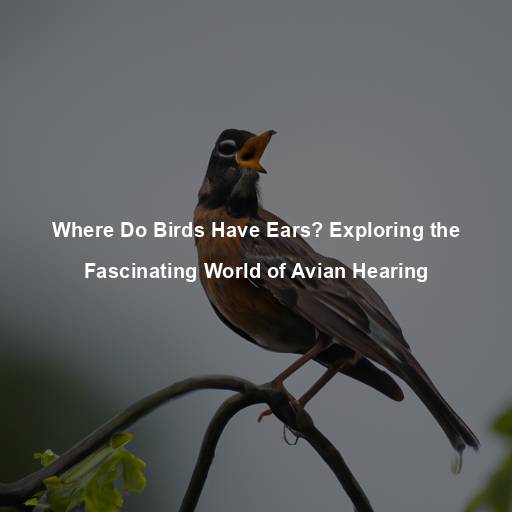 Where Do Birds Have Ears? Exploring the Fascinating World of Avian Hearing