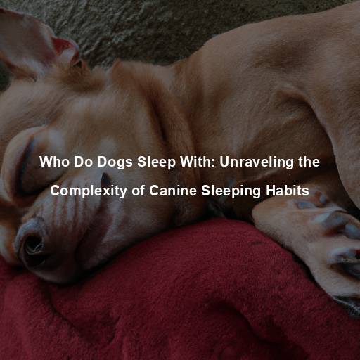 Who Do Dogs Sleep With: Unraveling the Complexity of Canine Sleeping Habits