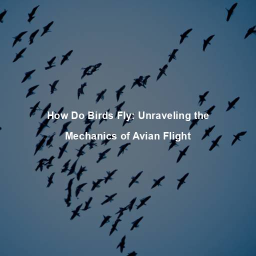 How Do Birds Fly: Unraveling the Mechanics of Avian Flight