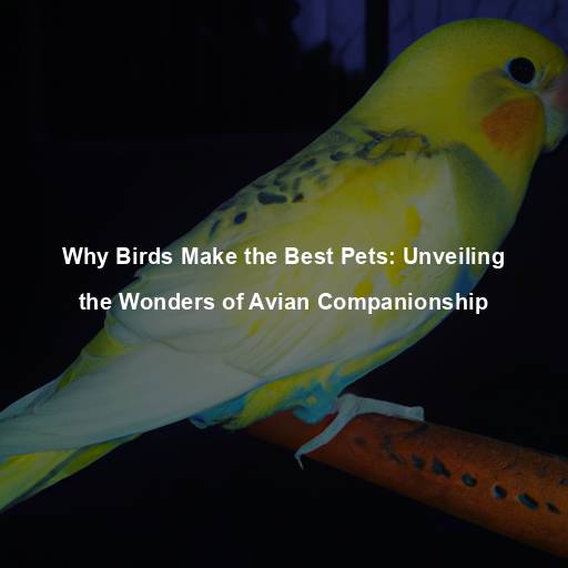 Why Birds Make the Best Pets: Unveiling the Wonders of Avian Companionship