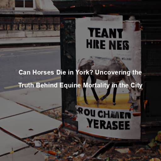 Can Horses Die in York? Uncovering the Truth Behind Equine Mortality in the City