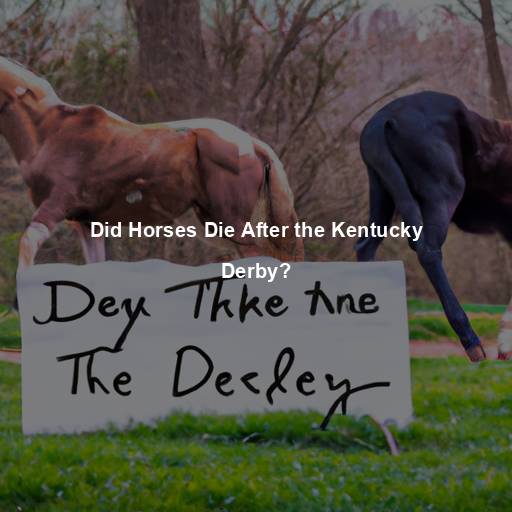 Did Horses Die After the Kentucky Derby?