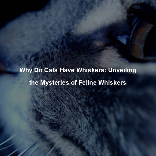 Why Do Cats Have Whiskers: Unveiling the Mysteries of Feline Whiskers