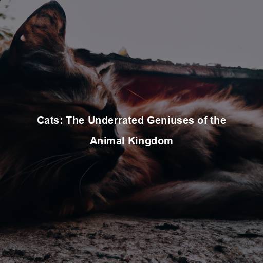 Cats: The Underrated Geniuses of the Animal Kingdom