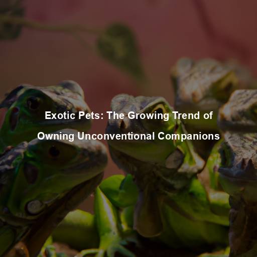 Exotic Pets: The Growing Trend of Owning Unconventional Companions