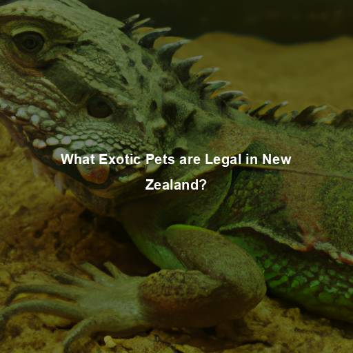 What Exotic Pets are Legal in New Zealand?