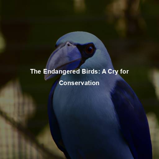 The Endangered Birds: A Cry for Conservation