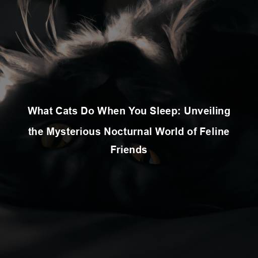 What Cats Do When You Sleep: Unveiling the Mysterious Nocturnal World of Feline Friends