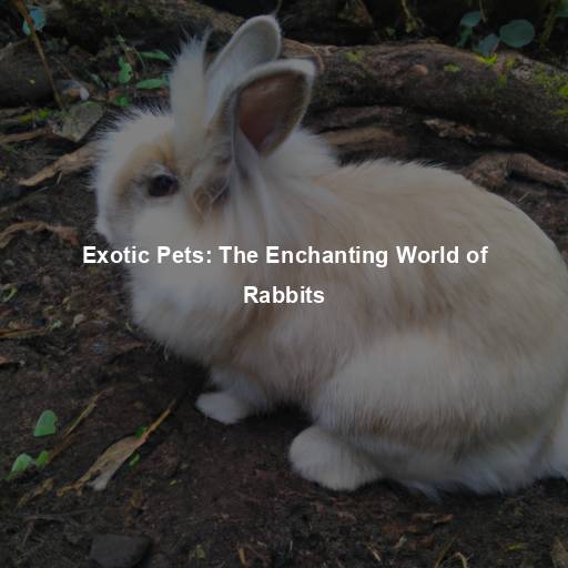 Exotic Pets: The Enchanting World of Rabbits