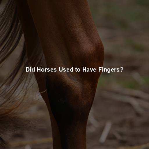 Did Horses Used to Have Fingers?