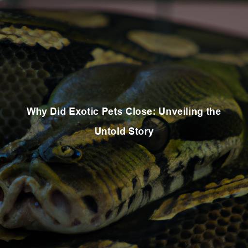 Why Did Exotic Pets Close: Unveiling the Untold Story