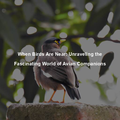 When Birds Are Near: Unraveling the Fascinating World of Avian Companions