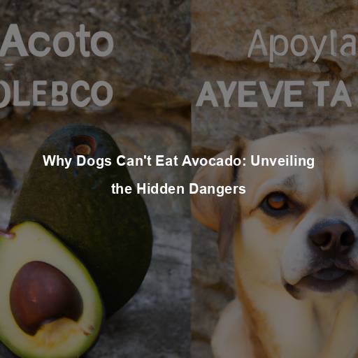 Why Dogs Can’t Eat Avocado: Unveiling the Hidden Dangers