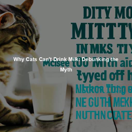 Why Cats Can’t Drink Milk: Debunking the Myth