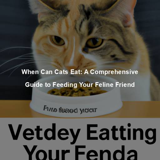 When Can Cats Eat: A Comprehensive Guide to Feeding Your Feline Friend