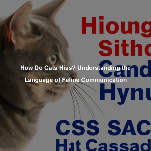 How Do Cats Hiss? Understanding the Language of Feline Communication