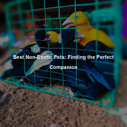 Best Non-Exotic Pets: Finding the Perfect Companion