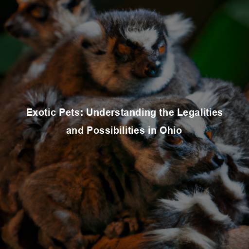 Exotic Pets: Understanding the Legalities and Possibilities in Ohio