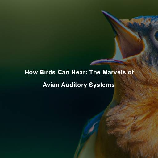 How Birds Can Hear: The Marvels of Avian Auditory Systems