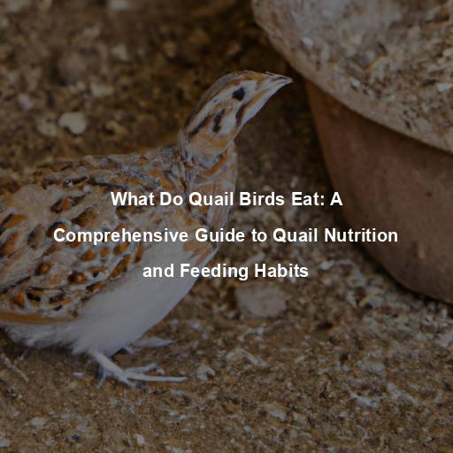 What Do Quail Birds Eat: A Comprehensive Guide to Quail Nutrition and Feeding Habits