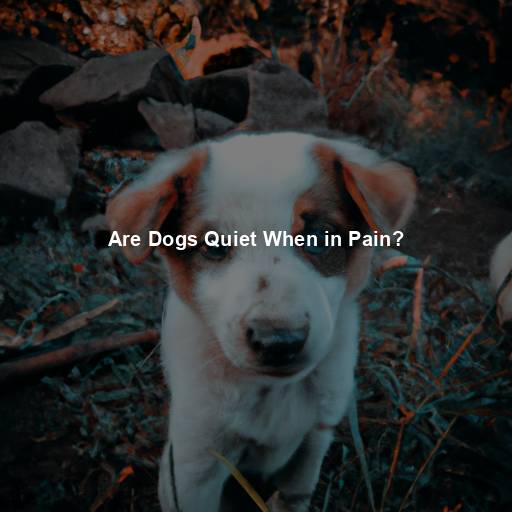 Are Dogs Quiet When in Pain?