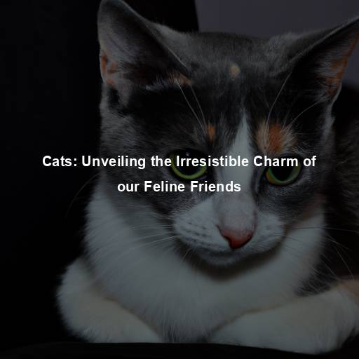 Cats: Unveiling the Irresistible Charm of our Feline Friends