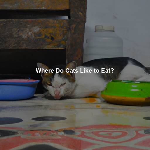 Where Do Cats Like to Eat?