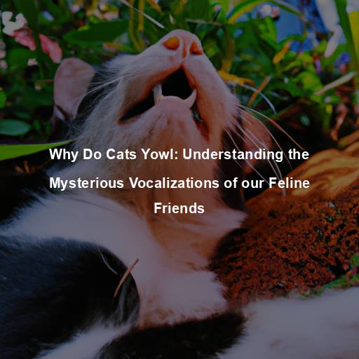 Why Do Cats Yowl: Understanding the Mysterious Vocalizations of our Feline Friends