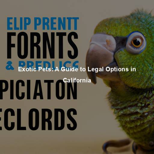 Exotic Pets: A Guide to Legal Options in California