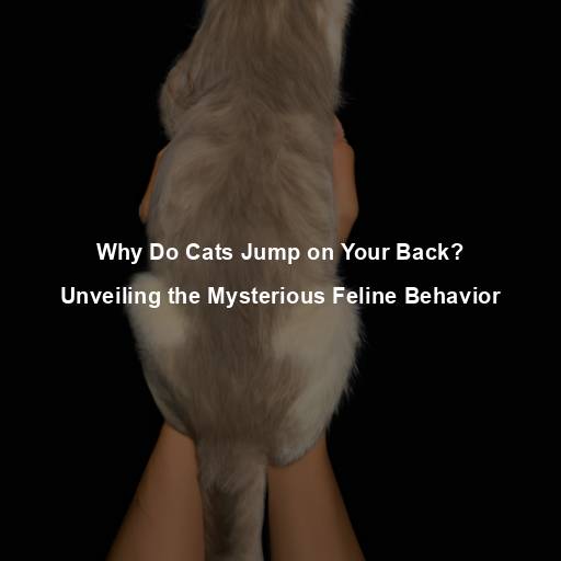 Why Do Cats Jump on Your Back? Unveiling the Mysterious Feline Behavior