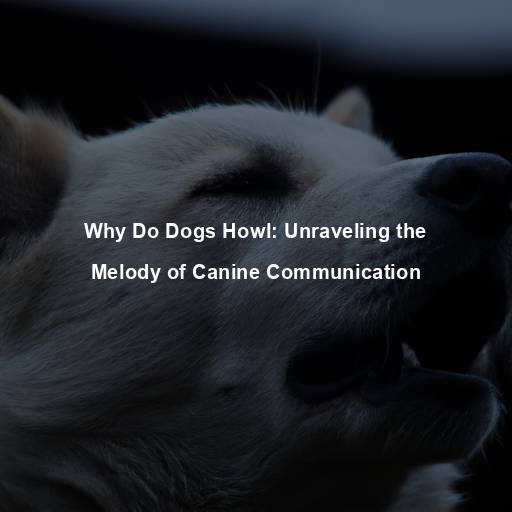 Why Do Dogs Howl: Unraveling the Melody of Canine Communication