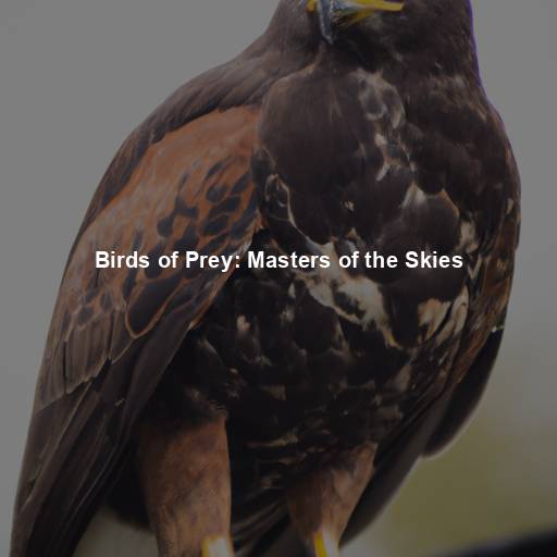 Birds of Prey: Masters of the Skies