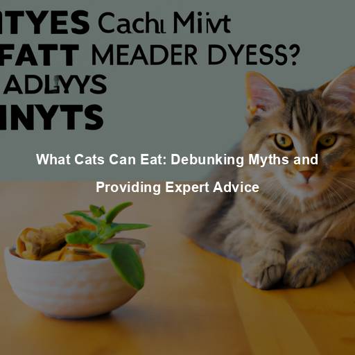 What Cats Can Eat: Debunking Myths and Providing Expert Advice