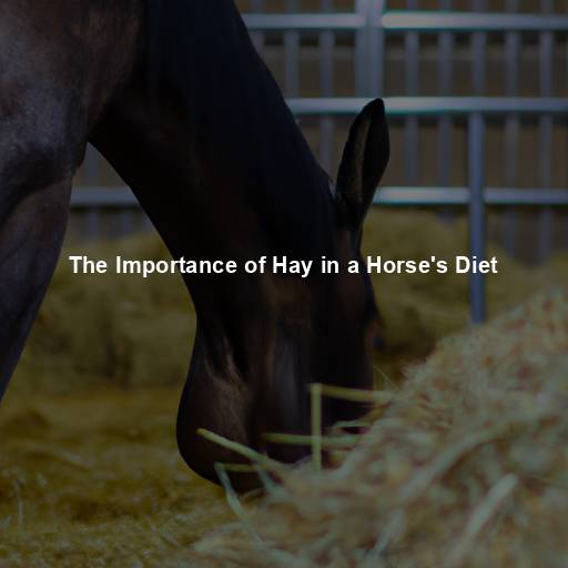 The Importance of Hay in a Horse’s Diet